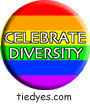 Celebrate Diversity Political Button (Badge, Pin)