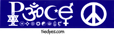Peace Symbols Anti-War Anti-Bush Peace Feminist Political Bumper Sticker 