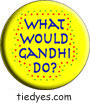 What Would Mahatma Gandhi Do? Pacifist  Liberal Democratic Political Button (Badge, Pin)